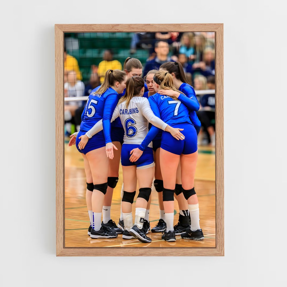 Poster Volleyball world regroupe (vue 4)